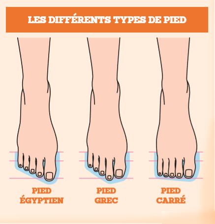 Shéma 1: les trois formes canoniques du pied