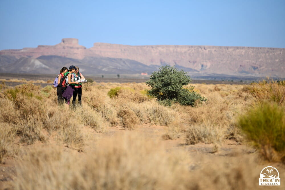 Trek'In Gazelles