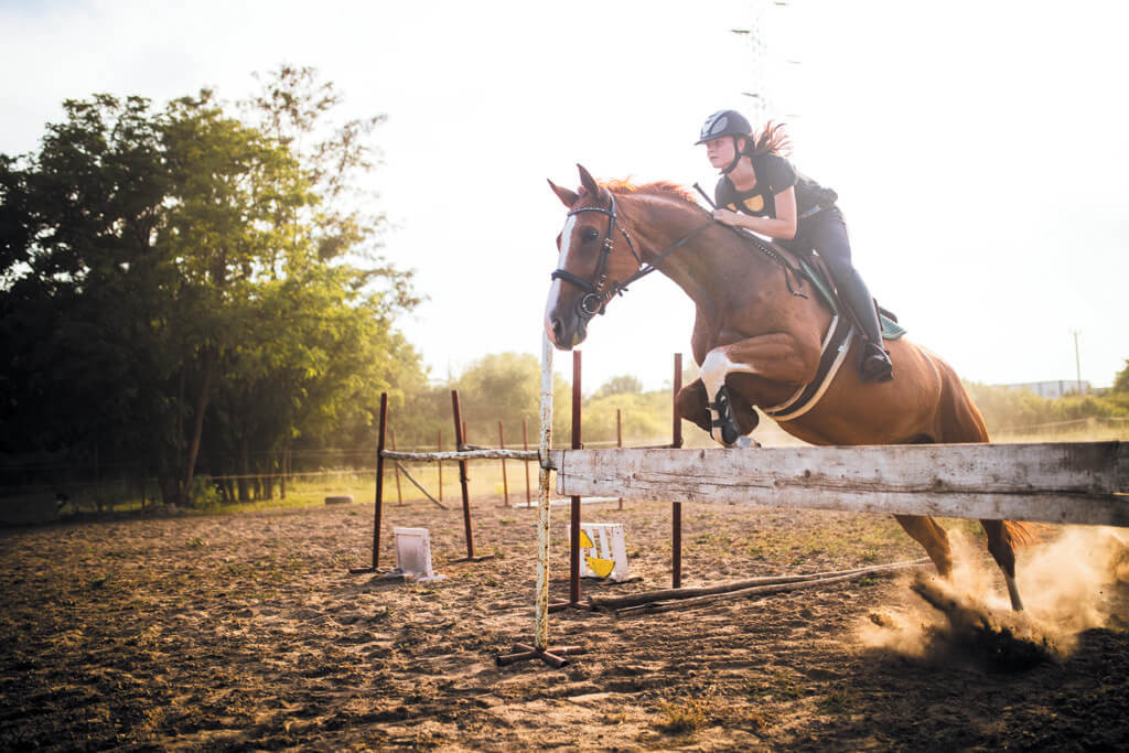 Cardio en salle pour l'équitation