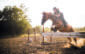 Cardio en salle pour l'équitation