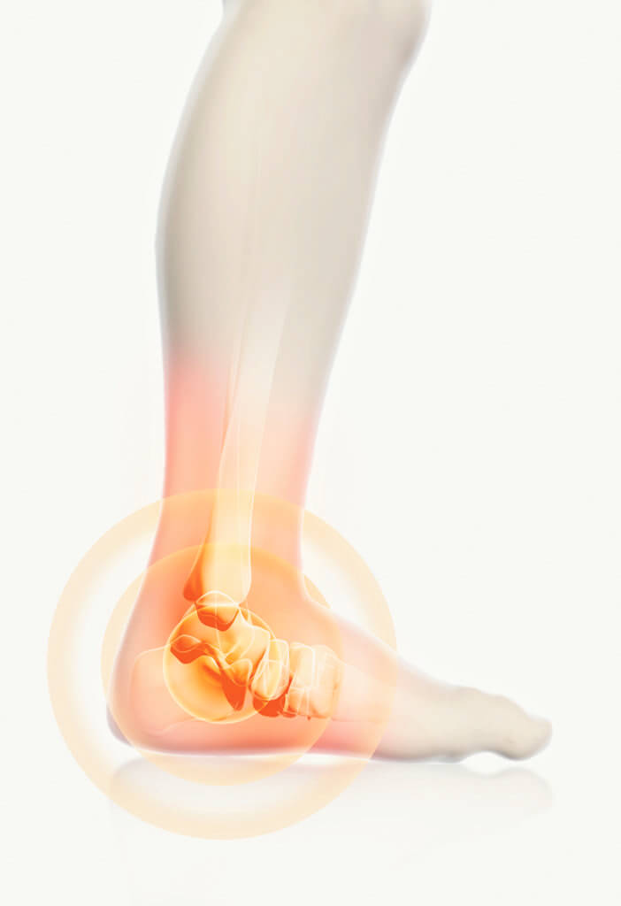 Jonction ligament / os …  c’est encore plus long !  