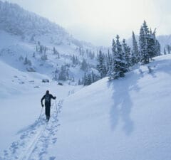 PPP pour le ski: plus de caisse et moins de gamelle!