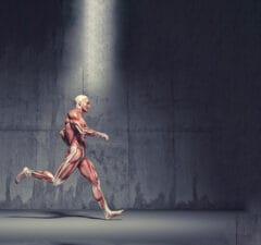 Protéines navettes, lipomax, mécanome : la rando devient prépa physique