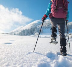 La pratique de la randonnée en raquettes à neige